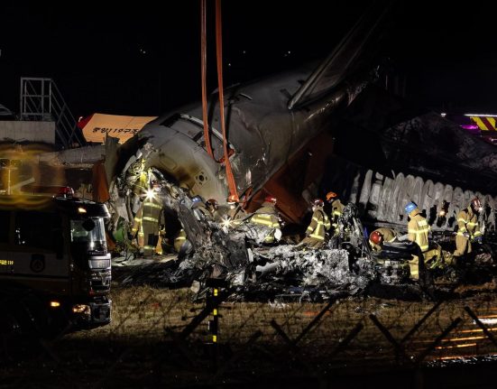 Coreea de Sud inspecteaza toate avioanele Boeing 737 800