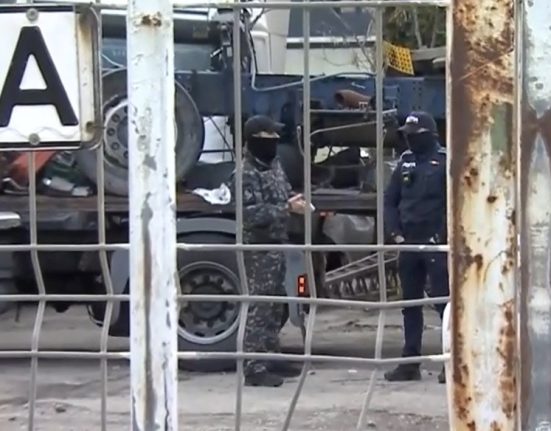 Cadavrul unei femei descoperit la marginea unei paduri din Bragadiru