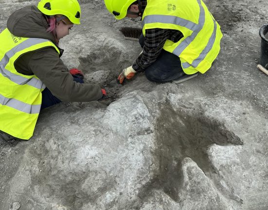 Descoperire uluitoare in sudul Angliei muncitorul alarmeaza