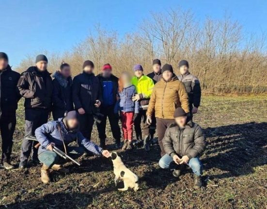 Fetita gasita nevatamata dupa ce sa ratacit in padure cainele ia stat alaturi
