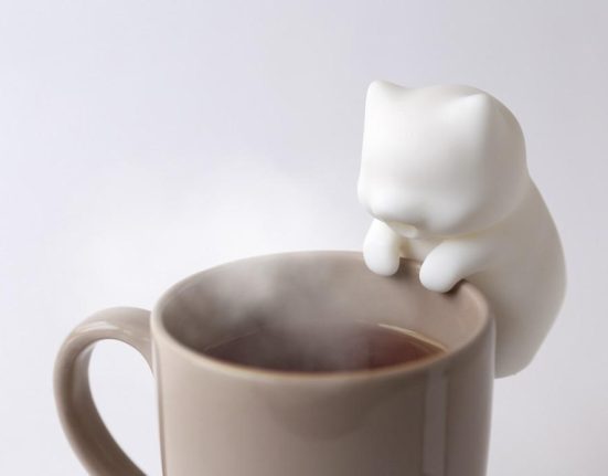Japonezii au creat o pisica robot Fufu ce raceste mancarea Cat costa