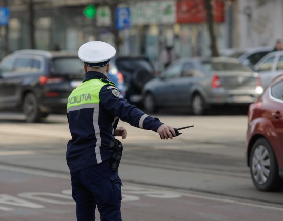 Reactia unui barbat cautat in Belgia pentru furt oprit in trafic in Sfantu Gheorghe Ce le a spus politistilor