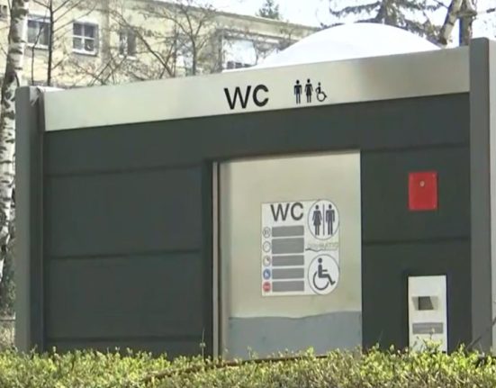 La Timisoara se construiesc toalete publice la pret de apartament cu avize de la Directia de Cultura