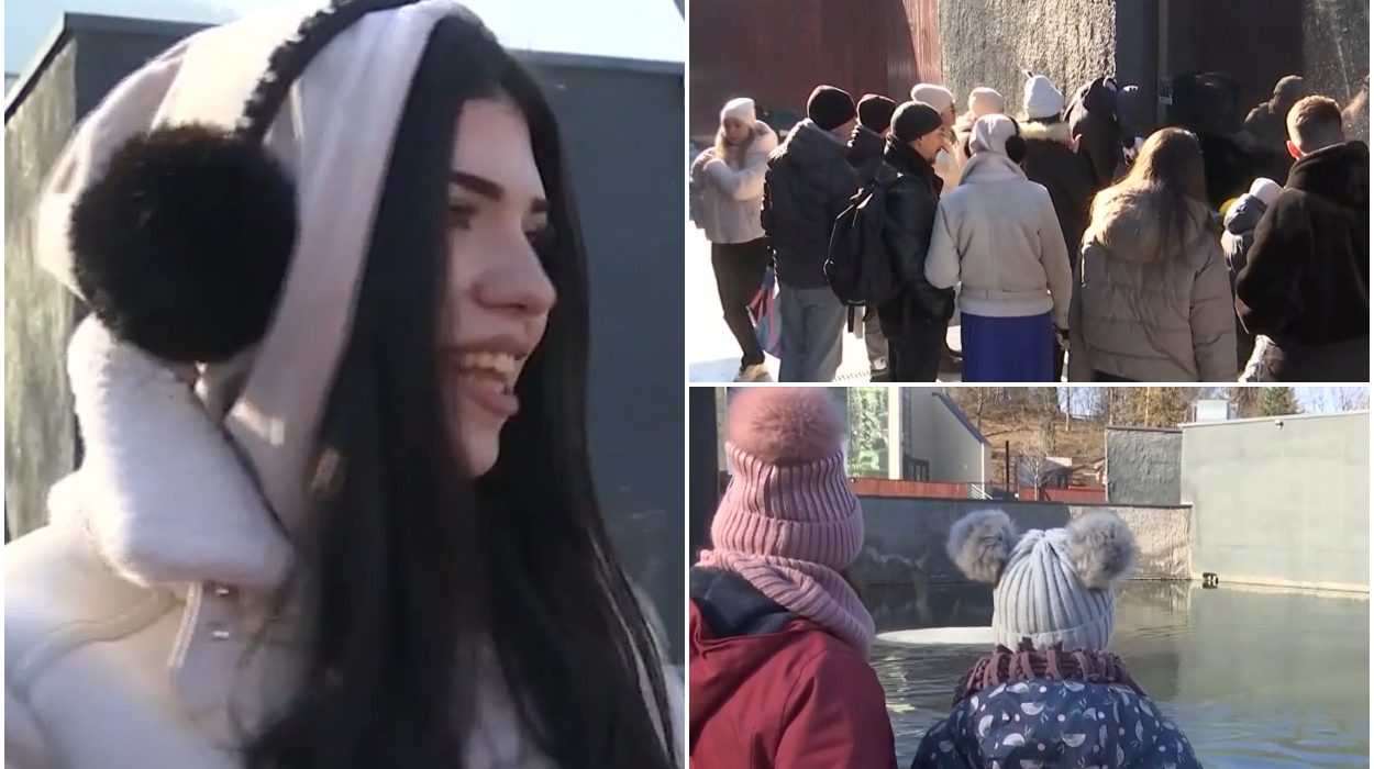 Record de vizitatori la Zoo Brasov Noutatea care a atras mii de turisti in cateva zile Este foarte interesant