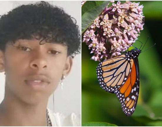 Un baiat de 14 ani a murit dupa o provocare TikTok