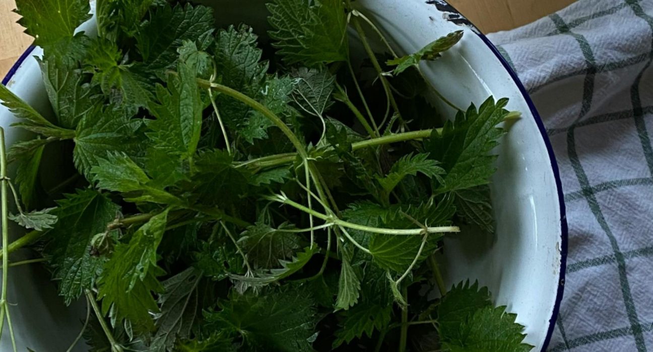 Crema de urzici mancare de primavara plina de vitamine
