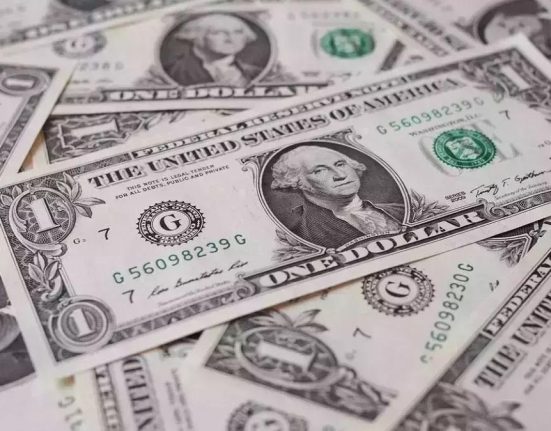 Curs BNR 25 martie 2025 Leul scade fata de dolar