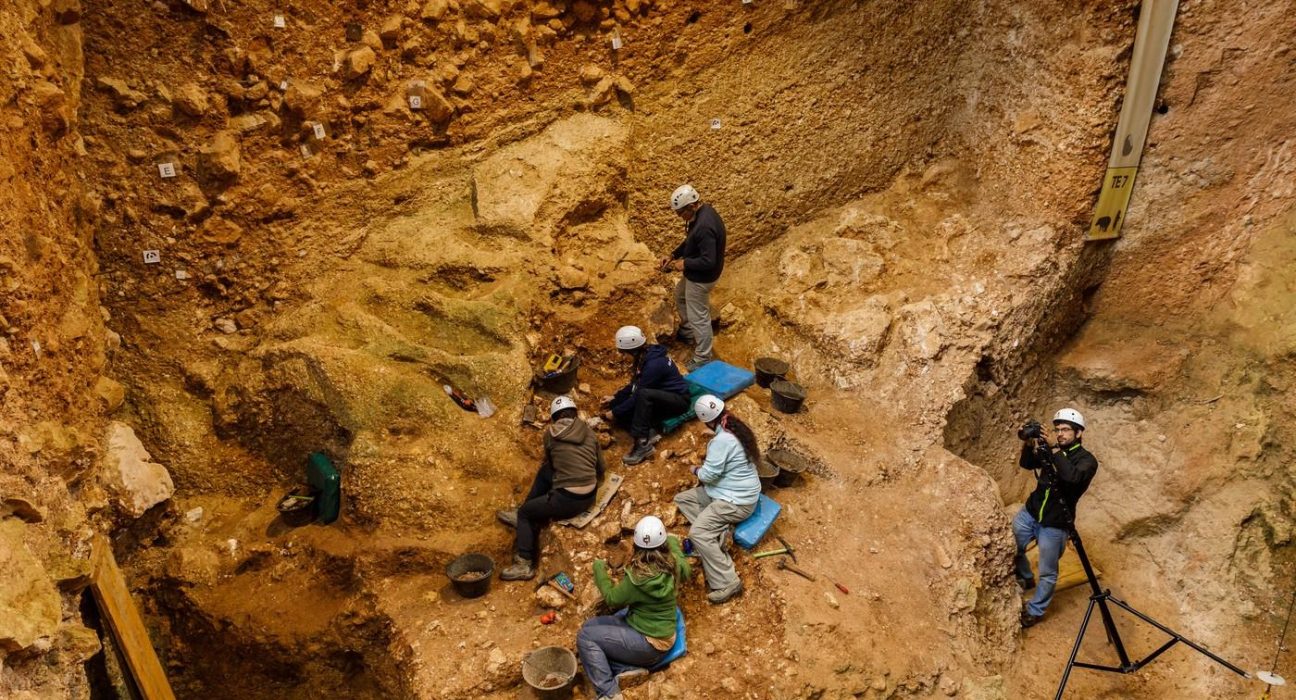 Descoperire ce poate revoluiona istoria oase dintr o specie umana necunoscuta mai veche de un milion de ani gasite in Spania