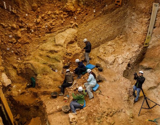Descoperire ce poate revoluiona istoria oase dintr o specie umana necunoscuta mai veche de un milion de ani gasite in Spania