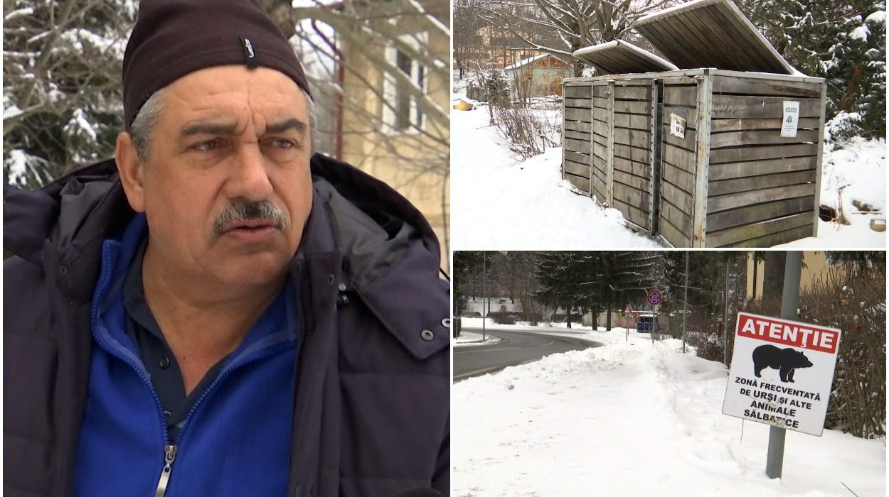 E pericol Nu stii cum reactioneaza O ursoaica si puii ei au semanat teroare in Predeal