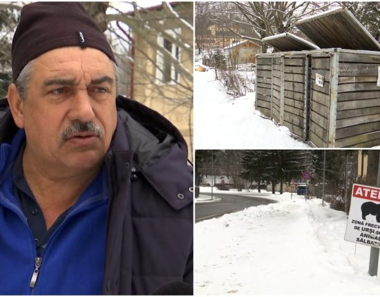 E pericol Nu stii cum reactioneaza O ursoaica si puii ei au semanat teroare in Predeal