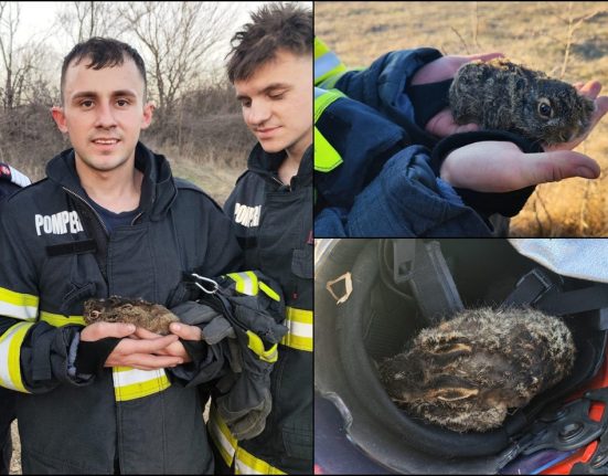 Povestea iepurasului salvat din flacari de pompieri
