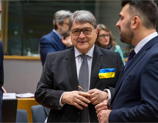 Surse Coalitia discuta demiterea ministrului Emil Hurezeanu