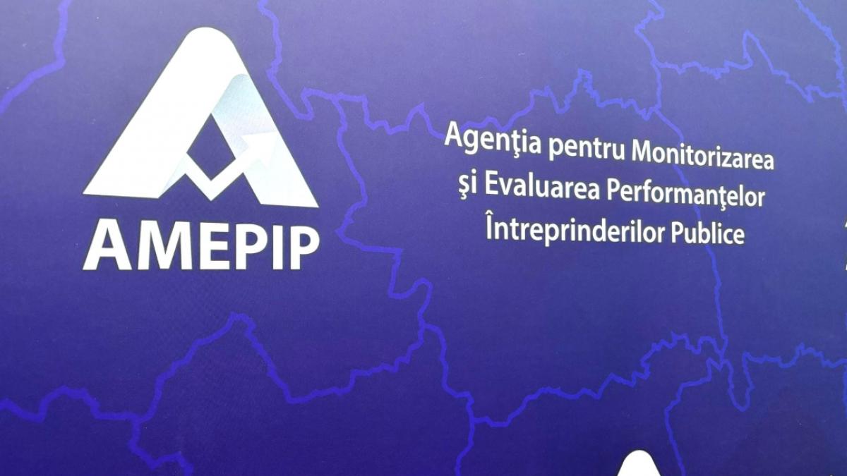 Violeta Alexandru cere explicatii despre conducerea AMEPIP