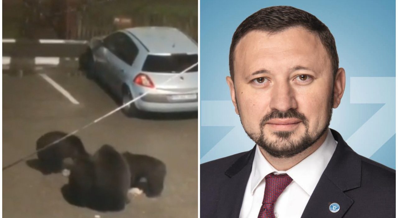 Cand va fi gata recensamantul ursilor din Romania