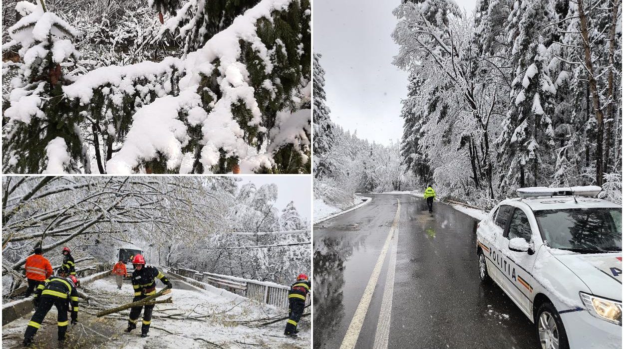 Cod galben de vant viscol si ninsori in 36 de judete