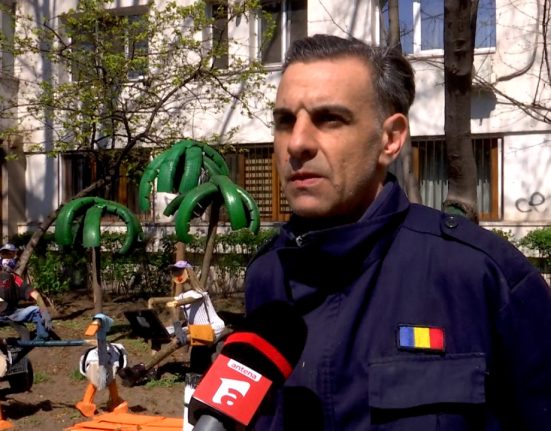 Cum a transformat un constantan o gradina plina de buruieni intr un loc magic