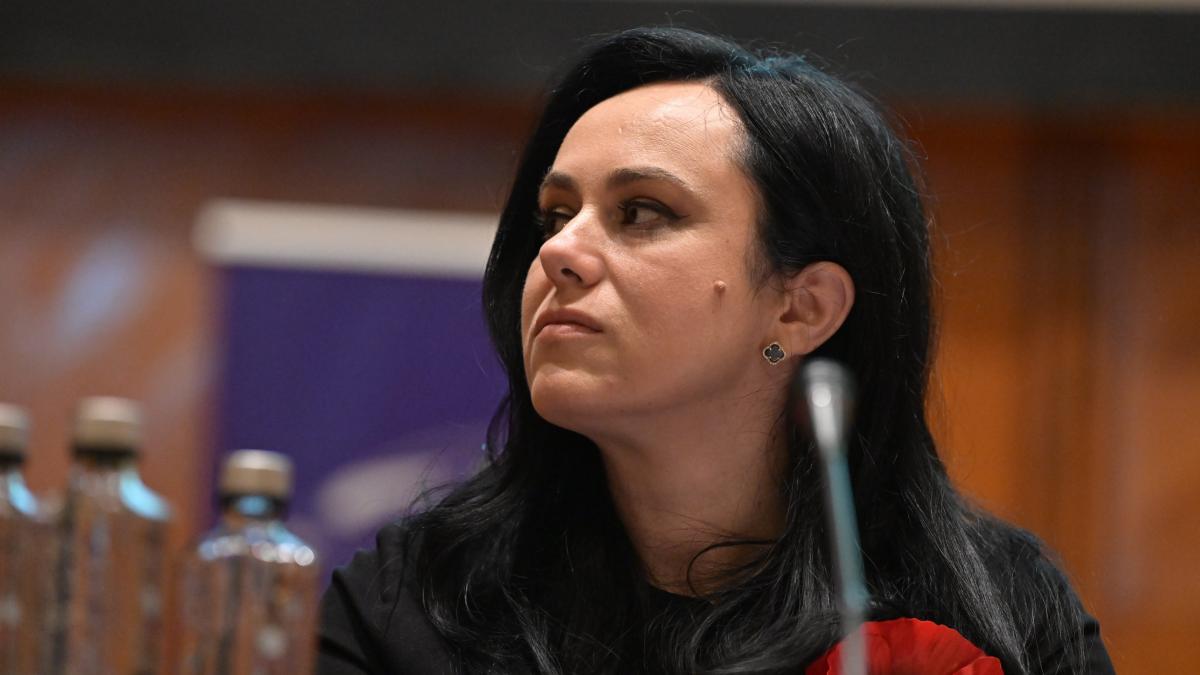 Ministrul Muncii Nivelul de trai al romanilor a crescut semnificativ fata de acum 10 ani