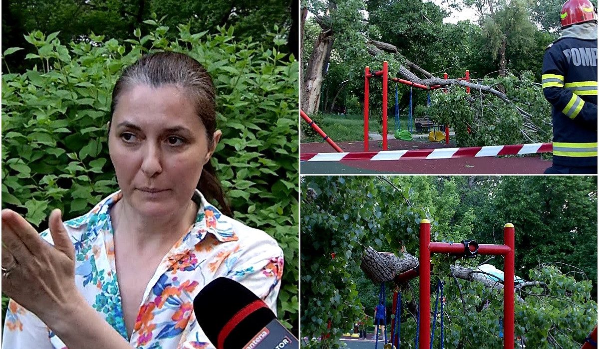 O ramura de sute de kilograme sa rupt intr un loc de joaca din Bucuresti Era un copil in leagan