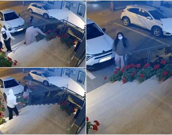 Patru femei surprinse furand ghivece mobila din hotel