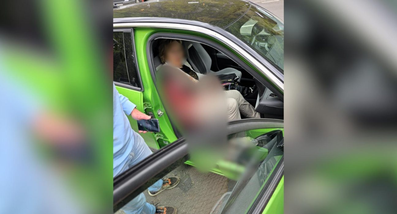 Turista de 75 de ani din Spania atacata de urs