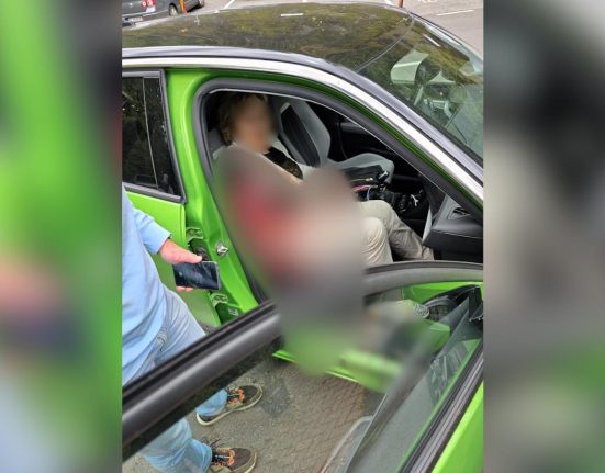 Turista de 75 de ani din Spania atacata de urs