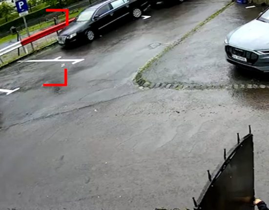 Urs filat langa case din Brasov femeie speriata a fugit
