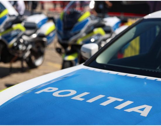 Furt patrundere si talharie Tanar din Dambovita retinut