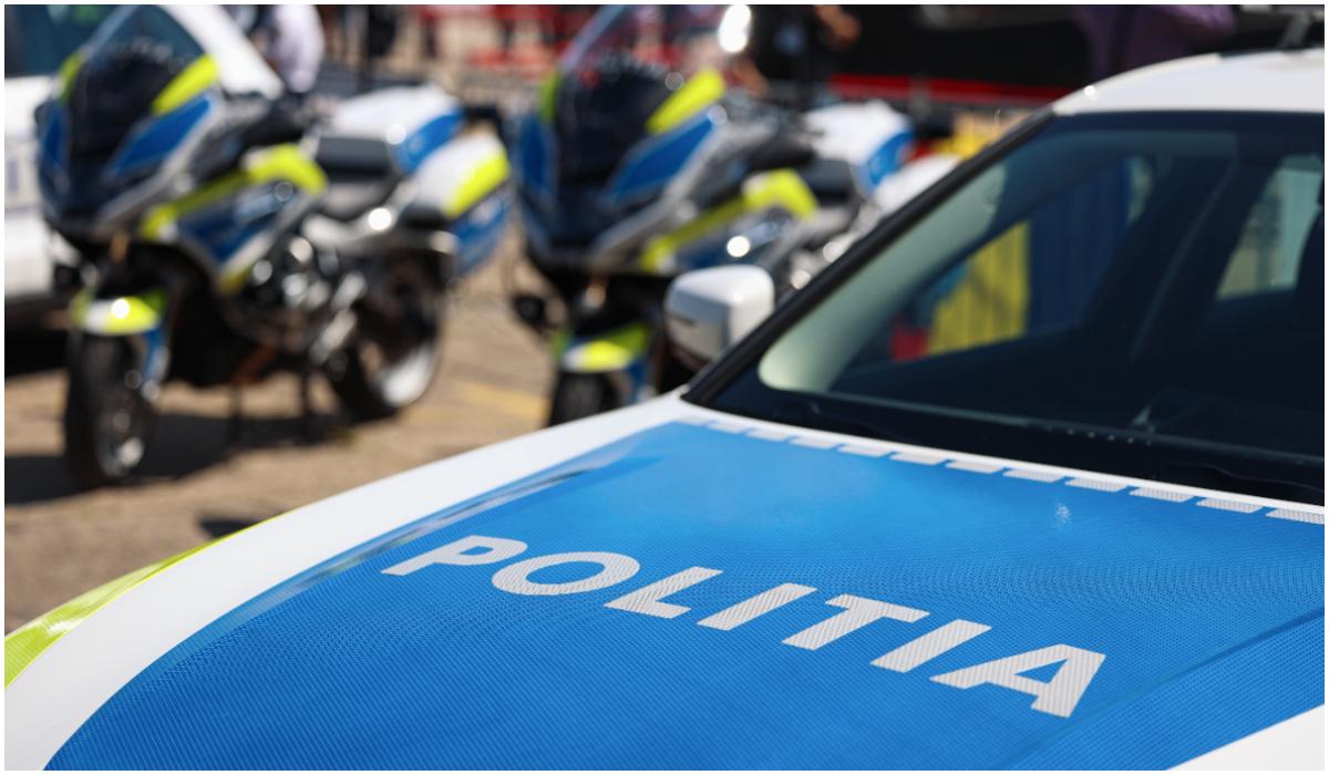 Furt patrundere si talharie Tanar din Dambovita retinut
