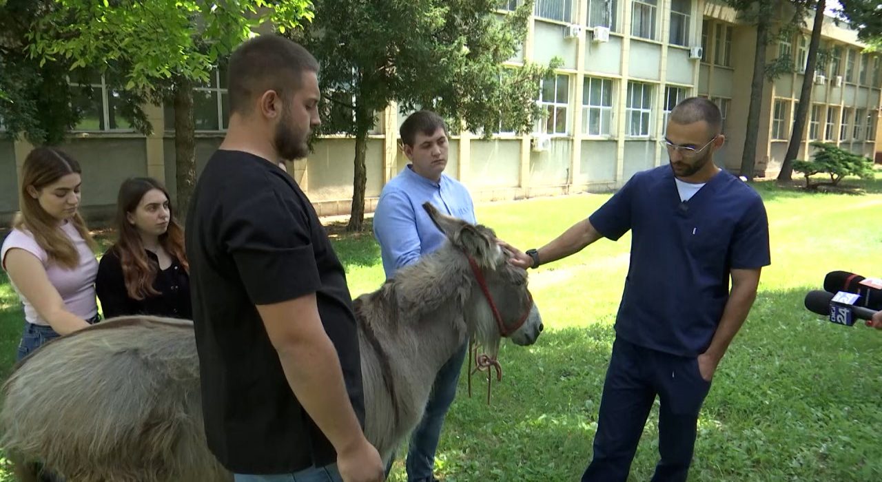 Pablito magarus pensionar vedeta Facultatii Veterinare