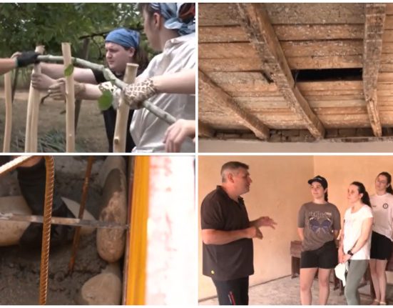 Studenti din Europa in practica la Bihor renovari traditionale