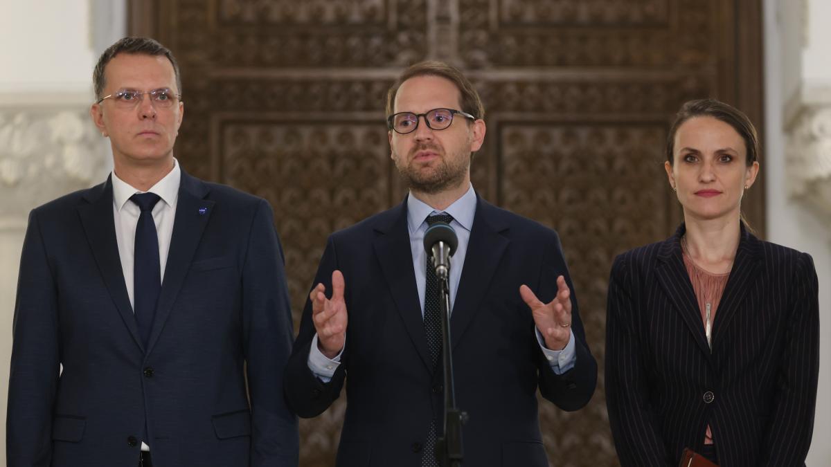 Surse Oana Toiu la Externe in guvernul Bolojan
