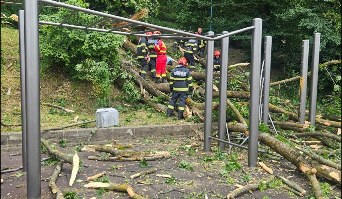 Tanr de 27 de ani mort dupa ce un copac a cazut peste el in Brasov