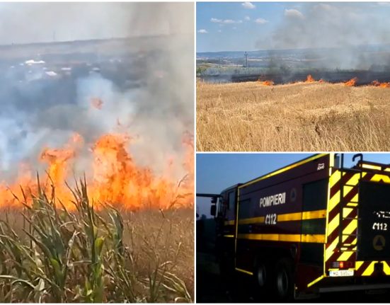 Incendii cauzate de o mina dezafectata in Mehedinti