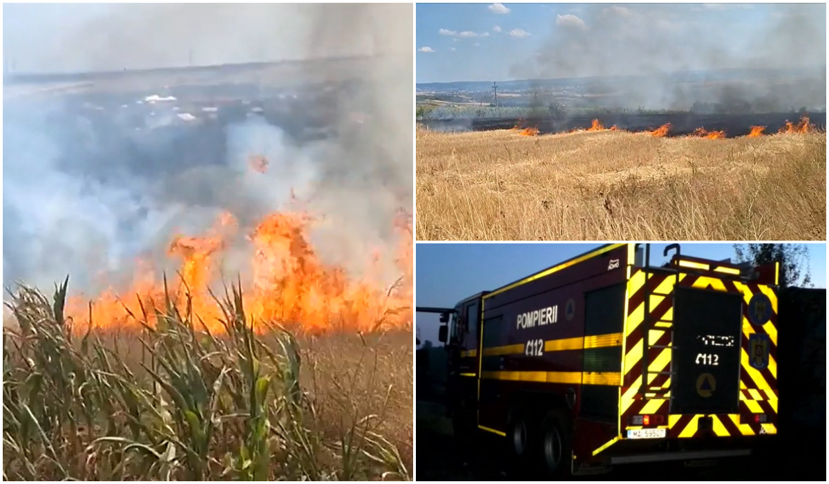 Incendii cauzate de o mina dezafectata in Mehedinti