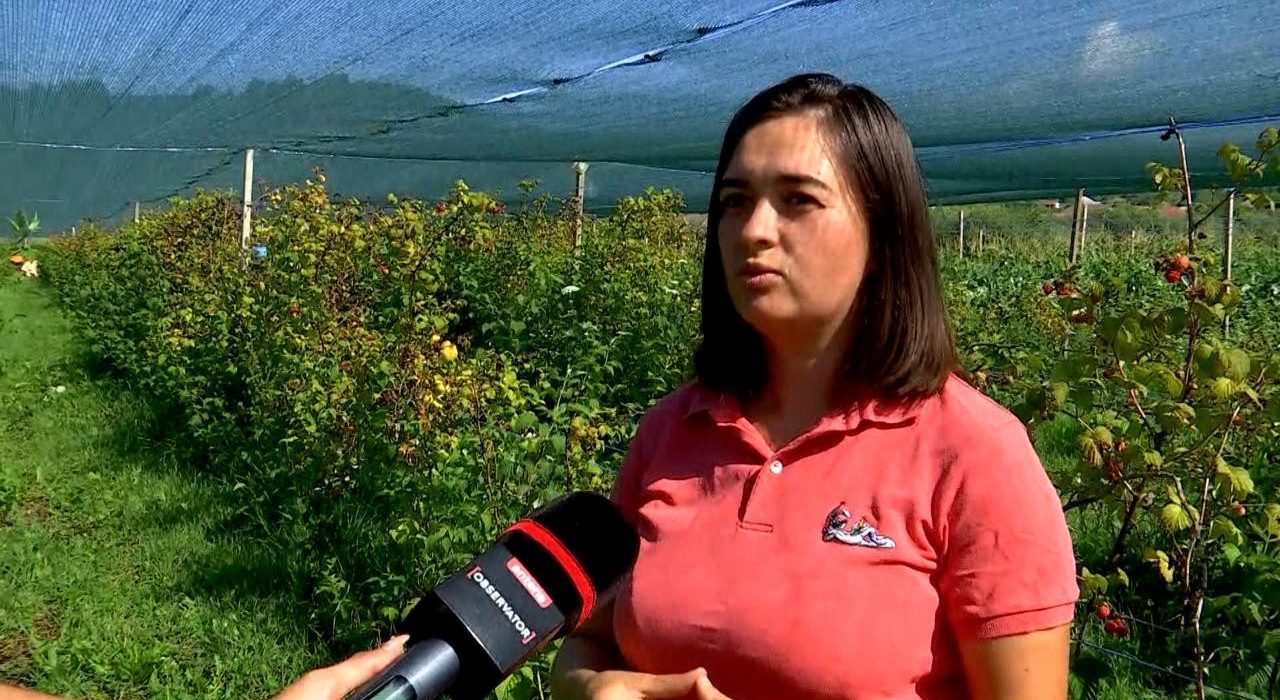 Investitia de 2500 de lei a familiei Trifoi