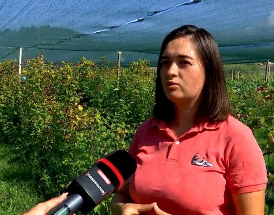 Investitia de 2500 de lei a familiei Trifoi