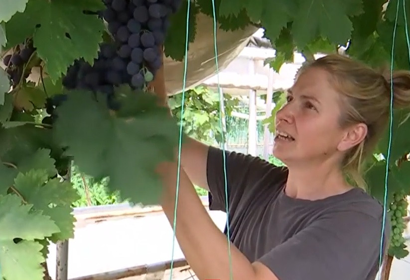 Mihaela a investit 10 000 euro acum vinde 1 kg cu 18 lei