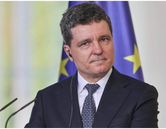 Nicusor Dan afirma ca relatia cu Austria trebuie reconstruita dupa Schengen