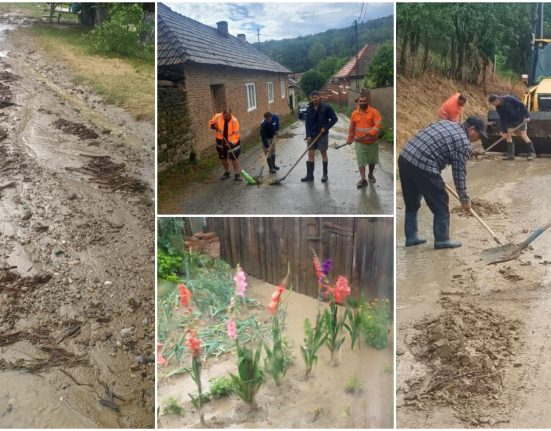 Viitura a devastat Geoagiu Hunedoara dupa ploi torentiale