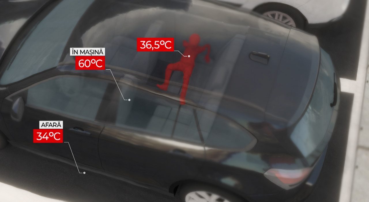 ANIMATIE Danir a murit dupa cinci zile de agonie