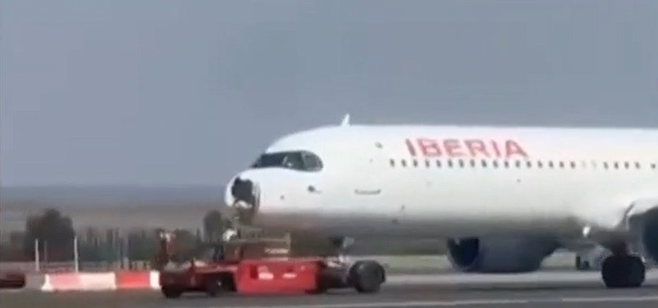 Avion din Madrid aterizare de urgenta dupa ce a lovit un vultur