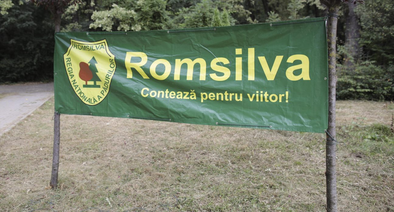 Cifrele dezastrului de la Romsilva Director cu prime de 500000 euro