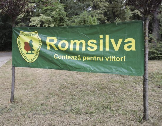 Cifrele dezastrului de la Romsilva Director cu prime de 500000 euro