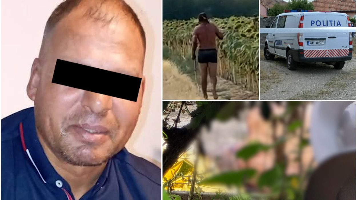 Criminalul din Mehedinti a fost prins in lanul de floarea soarelui