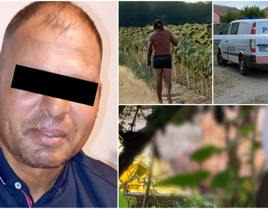 Criminalul din Mehedinti a fost prins in lanul de floarea soarelui