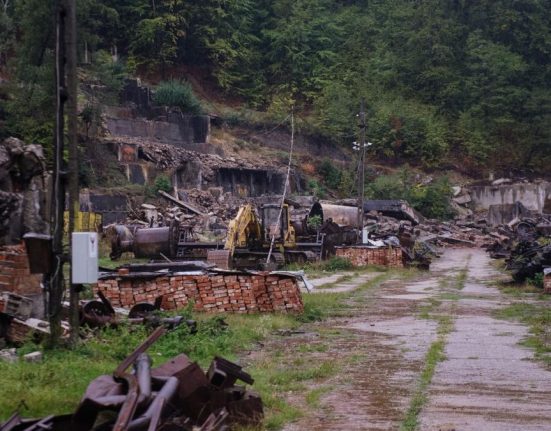 Salrom acuza pe Radu Miruta de merit fals pentru licenta de grafit