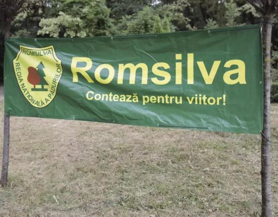 Silvicultorii protesteaza impotriva reorganizarii Romsilva