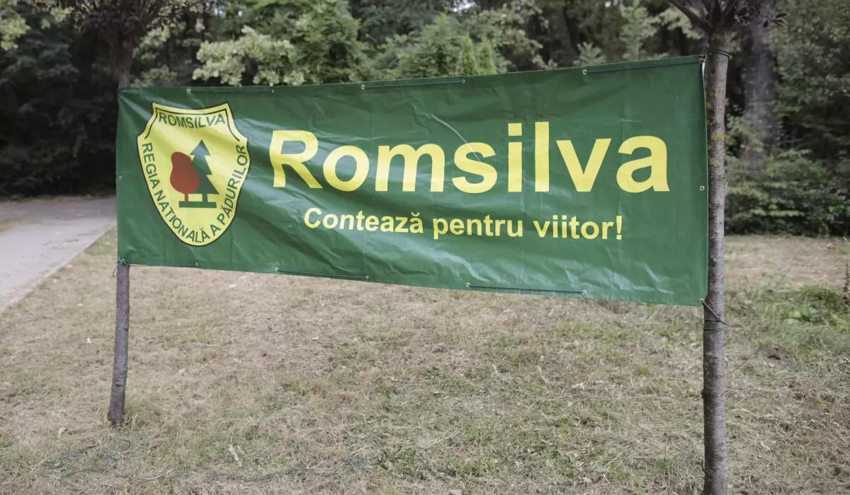 Silvicultorii protesteaza impotriva reorganizarii Romsilva