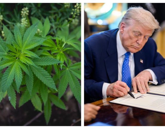 Trump pregateste o masura radicala pentru marijuana